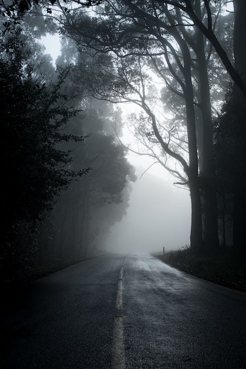 gray road in between trees in grayscale photography horror movies
